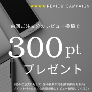 レビュー